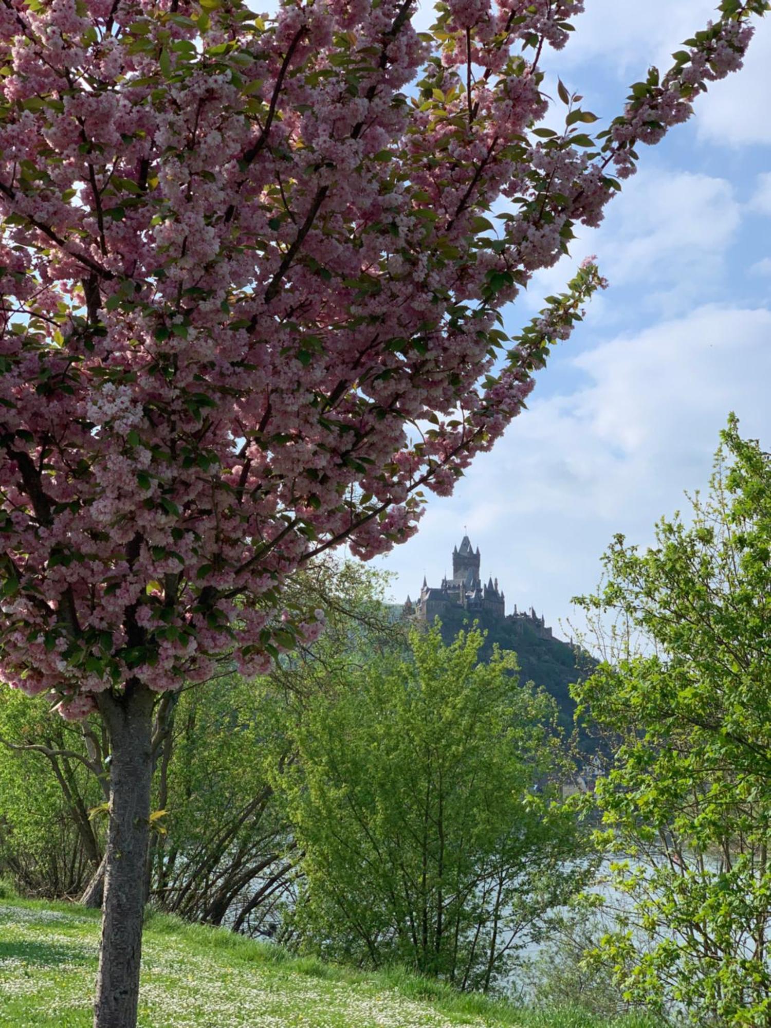Stumbergers Hotel Cochem Eksteriør bilde